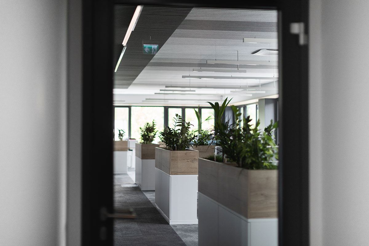 Pflanzen im Arbeitsbereich des Firmengebäudes